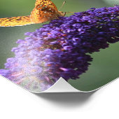 バタフライフォトプリント フォトプリント            (角)