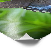 バタフライフォトプリント フォトプリント            (角)