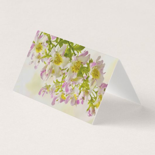 バタフライフラワーカード (正面)