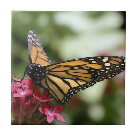 バタフライフラワーセラミックタイル タイル (正面)