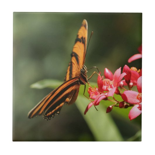 バタフライフラワーセラミックタイル タイル (正面)