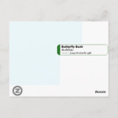 バタフライブッシュブドドゥルジャダビディフローラ ポストカード (裏面)