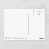 バタフライブッシュ2 ポストカード (裏面)