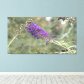 バタフライブッシュ キャンバスプリント (インサイチュ (ウッドフロア))