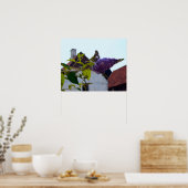 バタフライブッシュ、デンマーク、オールドデンマークの町 ポスター (キッチン)