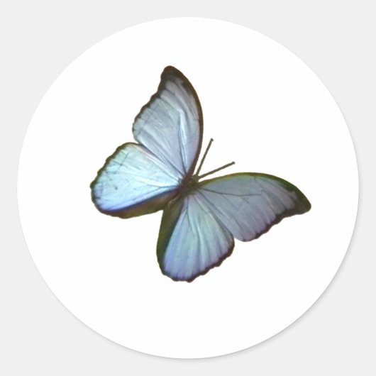 バタフライブルー45度フライブルグドイツギブニー ラウンドシール (正面)