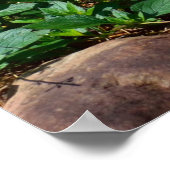 バタフライベンチチェア ポスター (角)