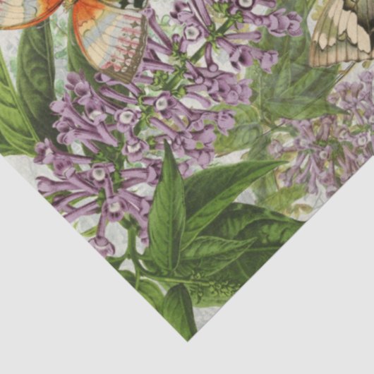 バタフライボタニカルフラワーガーデンフローラデカップージ 薄葉紙 (詳細)