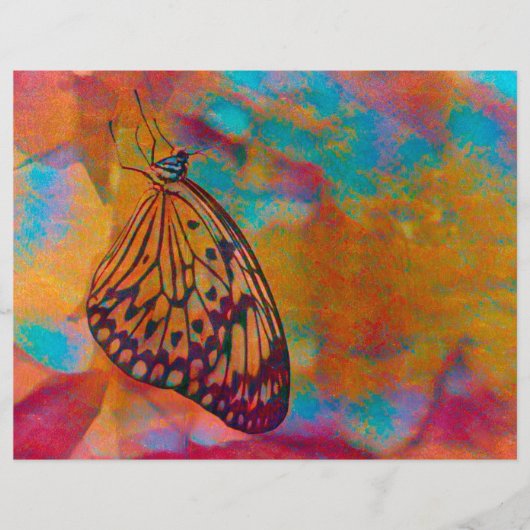 バタフライボヘミアンブルーオレンジヒッピーの切り離し (正面)