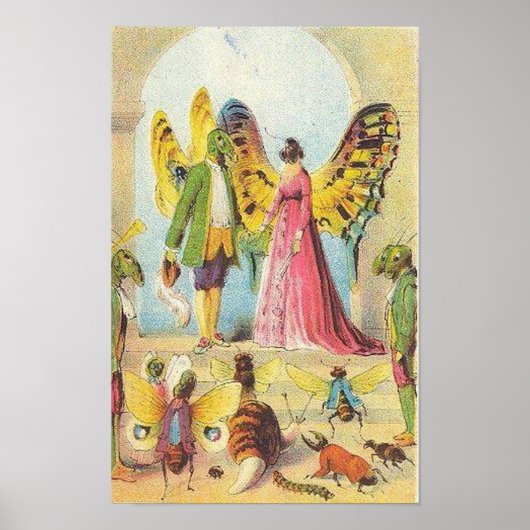 バタフライボール ポスター (正面)