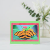 バタフライポイズハガキ ポストカード (スタンド正面)