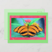バタフライポイズハガキ ポストカード (正面/裏面)