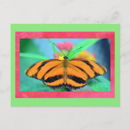 バタフライポイズハガキ ポストカード