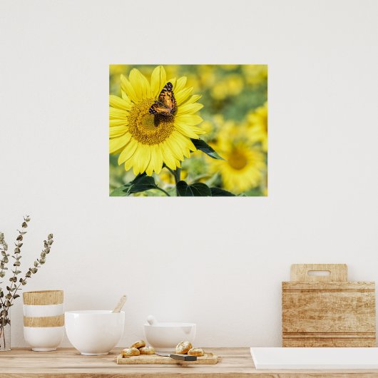 バタフライポスター付きヒマワリ畑 ポスター (キッチン)