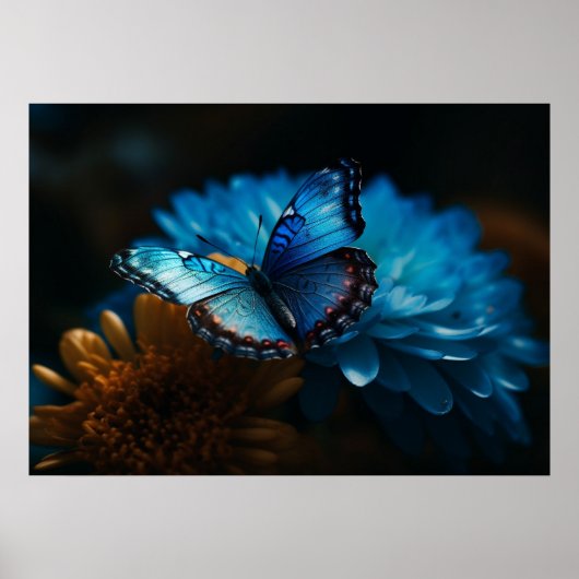 バタフライポスター ポスター (正面)