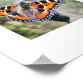 バタフライポスター ポスター (角)