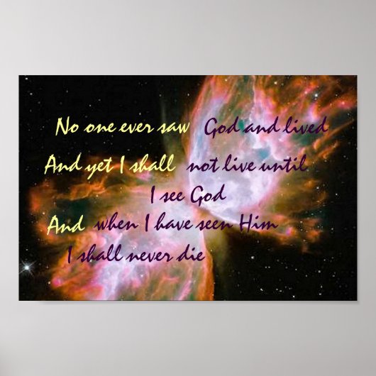 バタフライポスター ポスター (正面)