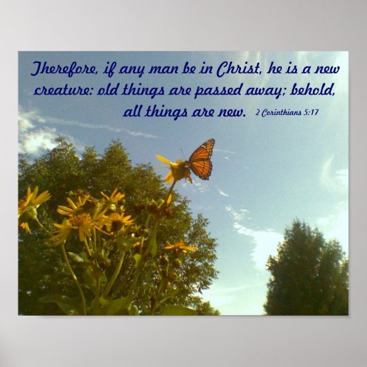 バタフライポスター ポスター (正面)