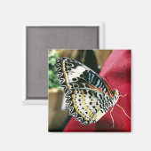 バタフライマグネット マグネット (正面/裏面)