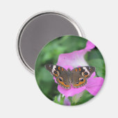 バタフライマグネット マグネット (正面/裏面)