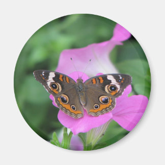 バタフライマグネット マグネット