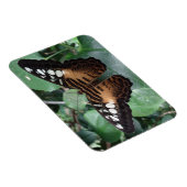 バタフライマグネット マグネット (右側)