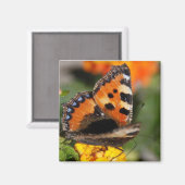 バタフライマグネット マグネット (正面/裏面)