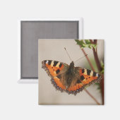 バタフライマグネット マグネット (正面/裏面)