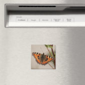 バタフライマグネット マグネット (インサイチュ (食洗機))