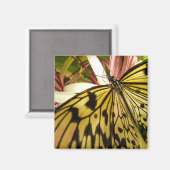 バタフライマグネット マグネット (正面/裏面)