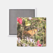 バタフライマグネット マグネット (正面/裏面)