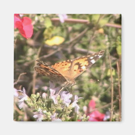 バタフライマグネット マグネット