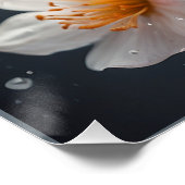 *~*バタフライマジカルウォーターカラーAP52花 ポスター (コーナー)