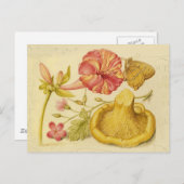 バタフライマッシュルーム花の水絵画色の ポストカード (正面/裏面)