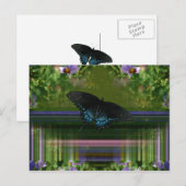 バタフライマントル ポストカード (正面/裏面)