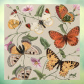 バタフライモス自然収集スケッチ ウィンドウサイン (シート3)