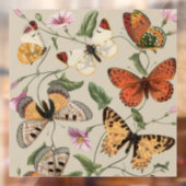 バタフライモス自然収集スケッチ ウィンドウサイン (シート2)