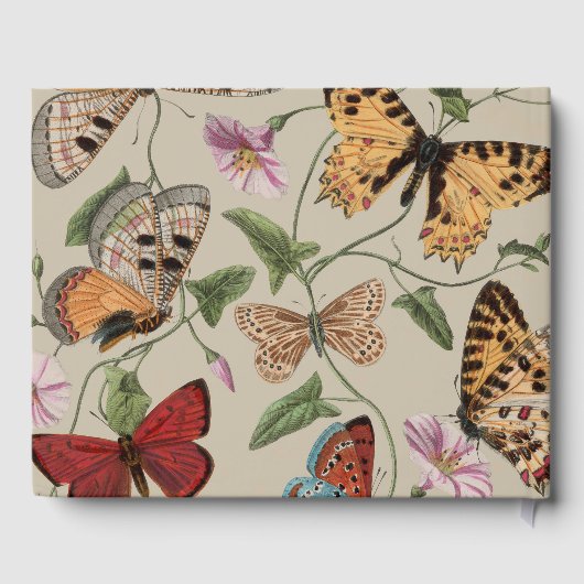 バタフライモス自然収集スケッチ ゲストブック (裏面)