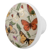 バタフライモス自然収集スケッチ セラミックノブ (右)