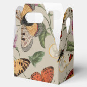 バタフライモス自然収集スケッチ フェイバーボックス (オープン)