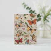 バタフライモス自然収集スケッチ ポストカード (スタンド正面)