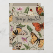 バタフライモス自然収集スケッチ 招待状 (正面/裏面)