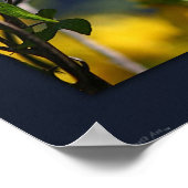 バタフライモーメントキャンバス印刷–24x20以下 ポスター (角)