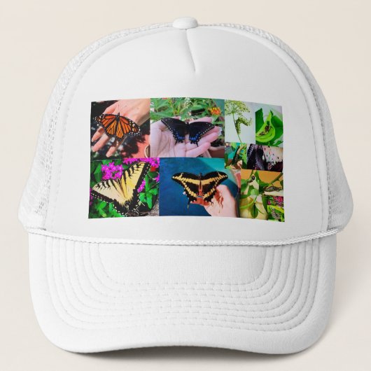 バタフライライフ キャップ (正面)