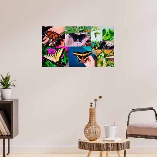 バタフライライフ ポスター (リビング3)