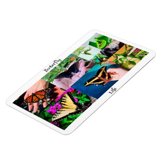 バタフライライフ マグネット (左側)