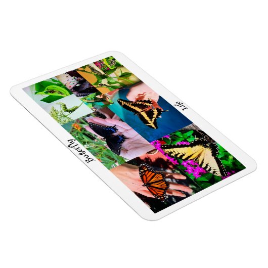 バタフライライフ マグネット (右側)