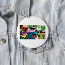 バタフライライフ