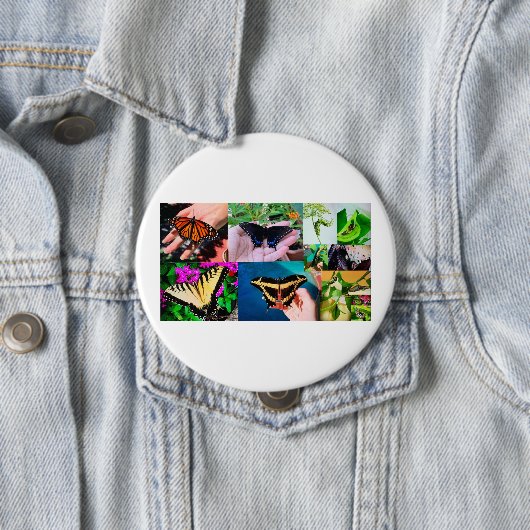バタフライライフ 缶バッジ (インサイチュ)