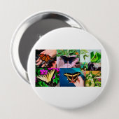 バタフライライフ 缶バッジ (正面&裏面)